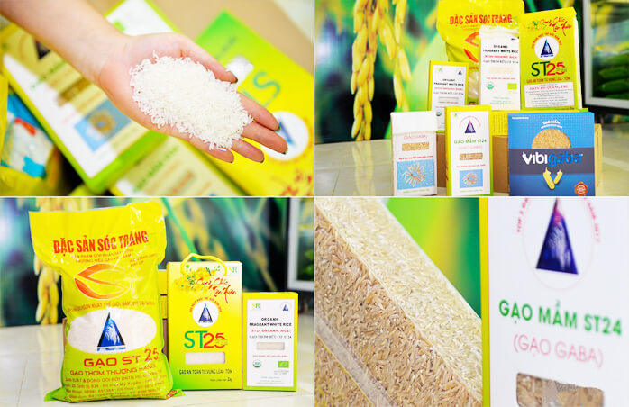 CHIA SẺ TỪ CÔ HẰNG TRỊNH, NIỀM VUI TÌM LẠI VỊ GẠO XƯA "BƯNG CHÉN CƠM TÔI THẦM BIẾT ƠN KỸ SƯ HỒ QUANG CUA, NGƯỜI ĐÃ TÂM HUYẾT, THỔI HỒN VÀ NÂNG TẦM GẠO VIỆT"